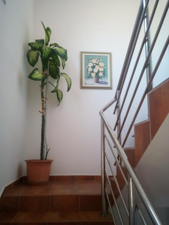 Apartmani Kapitanovic Biograd Na Moru Eksteriør bilde